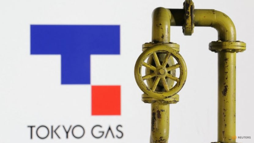 Japan's Tokyo Gas expands in US shale gas with Chevron deal