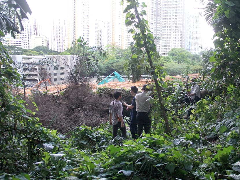 Explorer finds remains of 1887 lunatic asylum