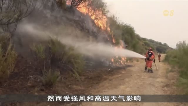 西班牙林火持续 至少七人丧命