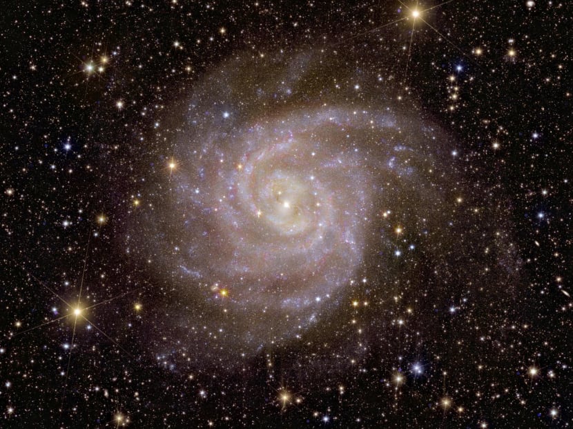 A spiral-shaped galaxy called "Hidden Galaxy" captured by Euclid telescope, designed and built by European Space Agency (ESA) to explore dark matter and dark energy, is seen in this undated handout image.