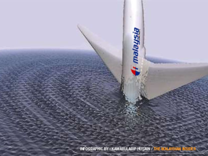 Dr Goong Chen and his team say that Malaysia Airlines flight MH370 probably entered the water at a steep angle, which would have preserved the integrity of the fuselage. Photo: The Malaysian Insider