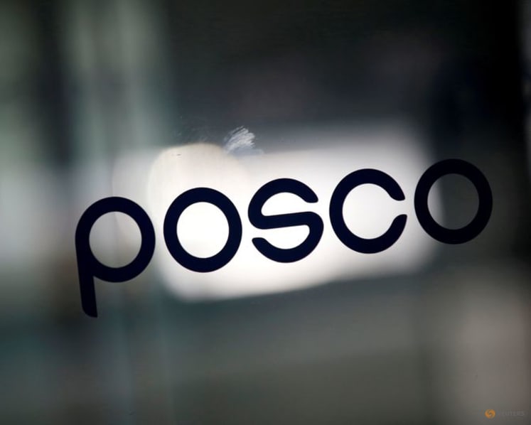 Australia's Meteoric Resources ties up with Posco for Brazil rare earths project 