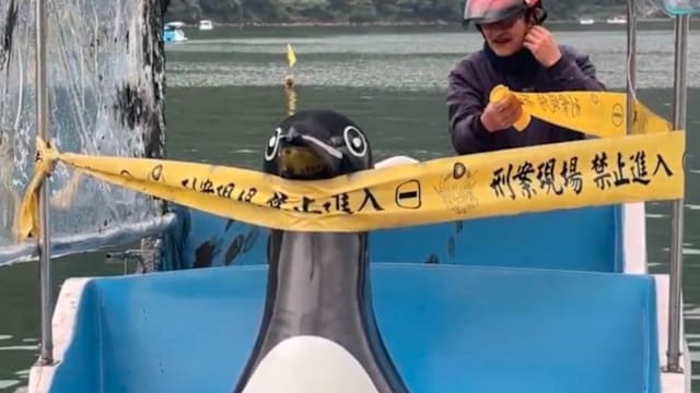 台湾一家五口游湖船只翻覆 男童受困船底不治