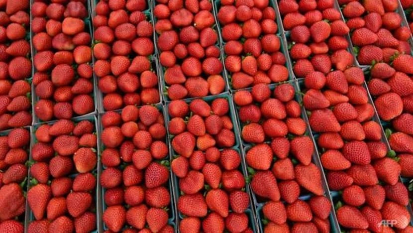 Jarum dalam strawberi merebak ke pasar raya New Zealand