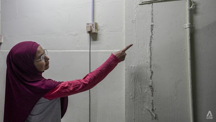 Johor Bahru to review building safety standards in light of recent quakes