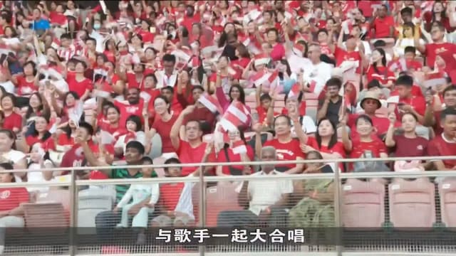 淡滨尼天地国庆庆祝活动 5000名居民同乐观赏烟火