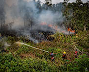 Indonesia holds off on foreign help to fight forest fires, says it can manage on its own