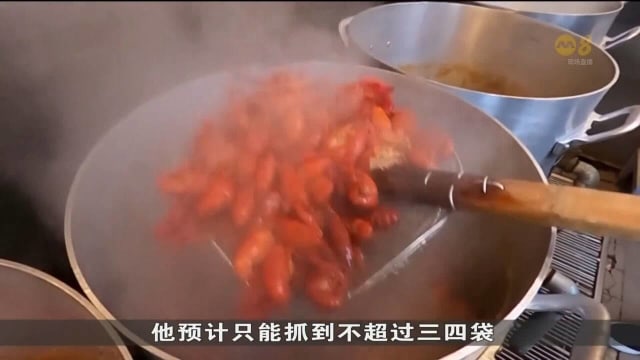 美国得州极端天气 影响当地小龙虾收成