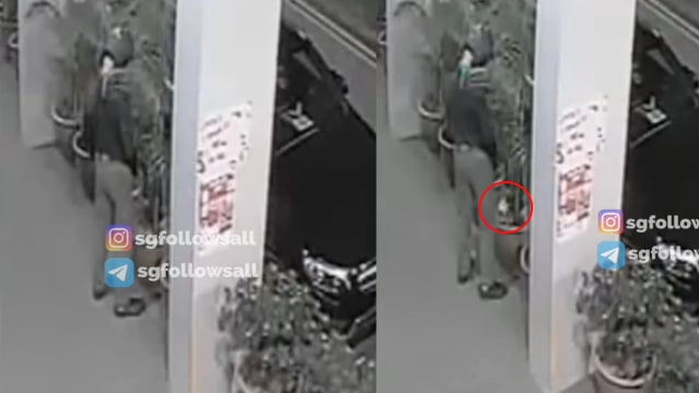 送餐员往盆栽里撒尿 闭路电视全拍下