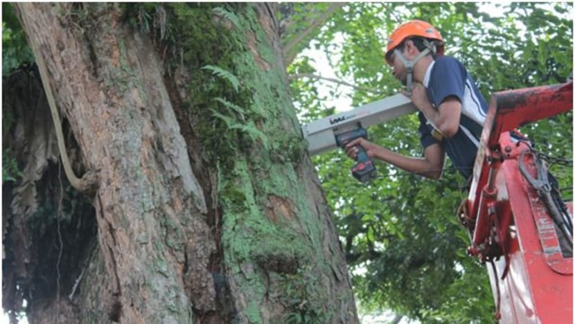 Workers in landscape industry get more ways to climb the ladder