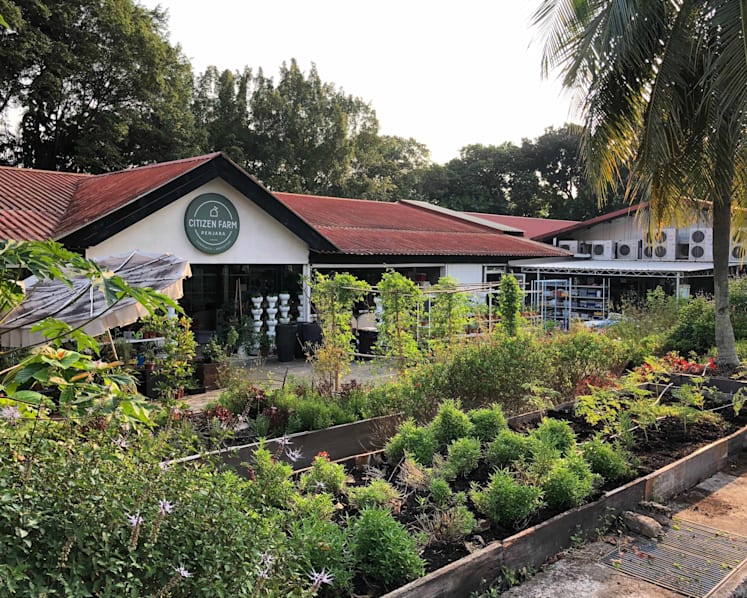 Strengthening agriculture to safeguard Asean’s rice bowl