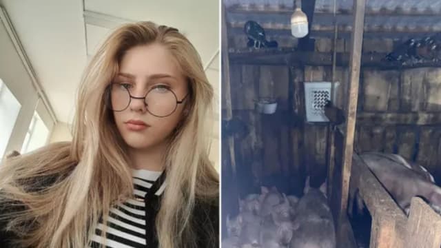 俄罗斯少女死在猪圈 疑被猪群袭击致死