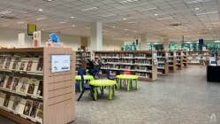 Related article image