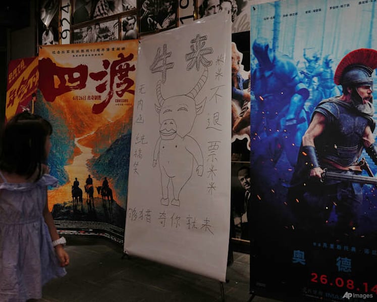 Commentary: What Niu Lai’s unlikely success says about Chinese internet culture