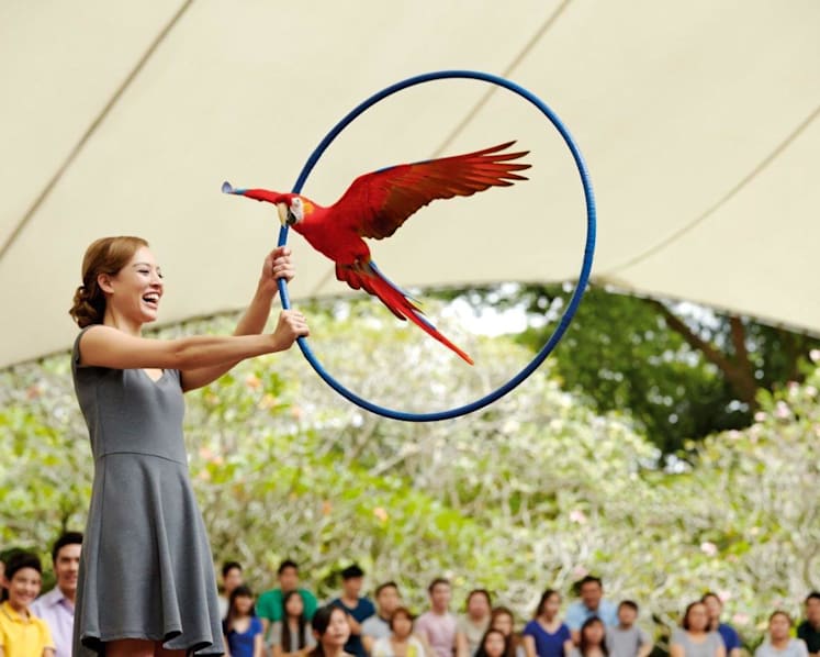 Jurong Bird Park turns 45 on Jan 3