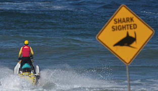 Popular Sydney beach deploys drones, helicopter after fatal shark attack