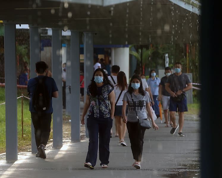 277 new Covid-19 infections in Singapore; one new cluster identified at Bukit Panjang Integrated Transport Hub