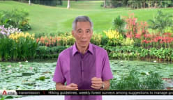 Fight against COVID-19 has taken a toll, 'strained fault lines' in society: PM Lee in National Day message | Video