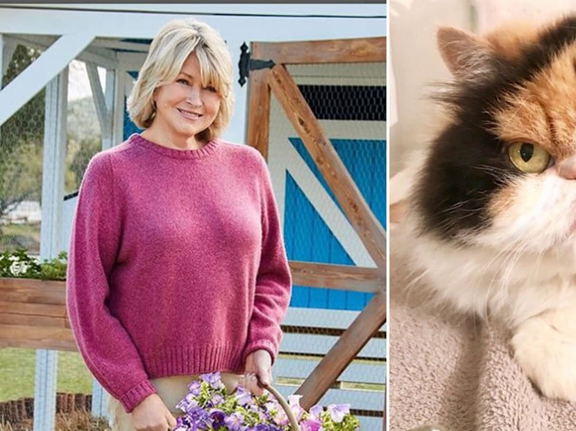 Martha Stewart&rsquo;s Cat Mauled To Death By Her Four Dogs