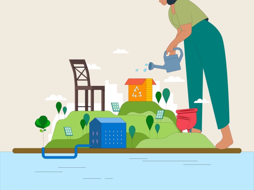 The Big Read: Across the value chain, S'pore firms hop on the green bandwagon as budding ecosystem takes shape  