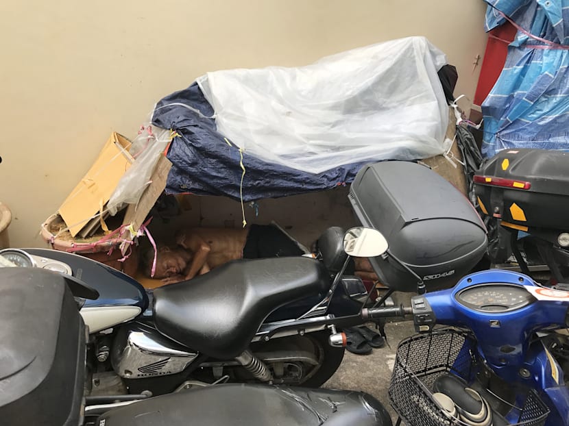 Getting to the nub of homelessness