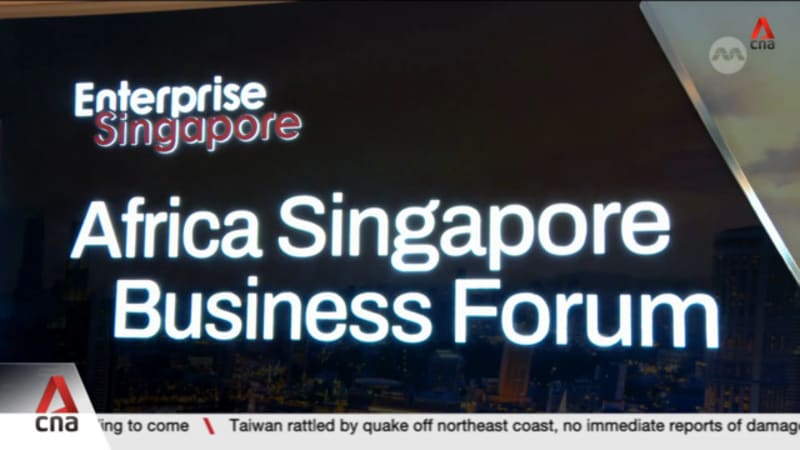 Singapore-based firms continuing to expand in Africa, expecting high returns