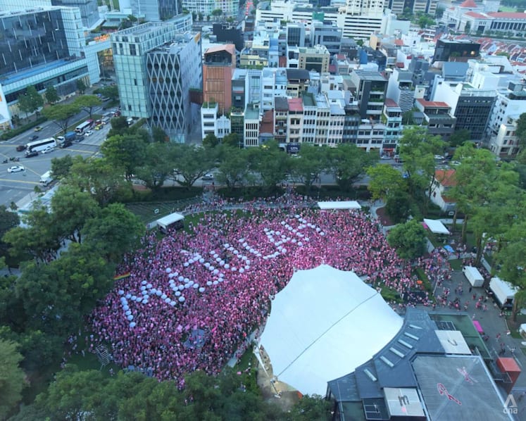 Pink Dot returns to Hong Lim Park for the first time since COVID-19 pandemic started; MPs among attendees