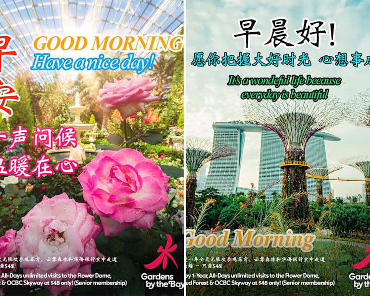 #trending: Gardens by the Bay wins praise for ‘Good Morning’ memes targeted at boomers