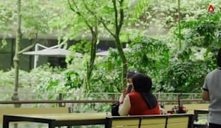 Designing Green Singapore