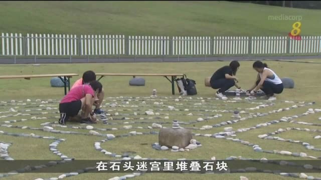 首届“新加坡健康养生节”拉开帷幕