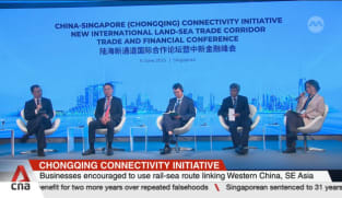 Businesses encouraged to use rail-sea route linking Western China and Southeast Asia 