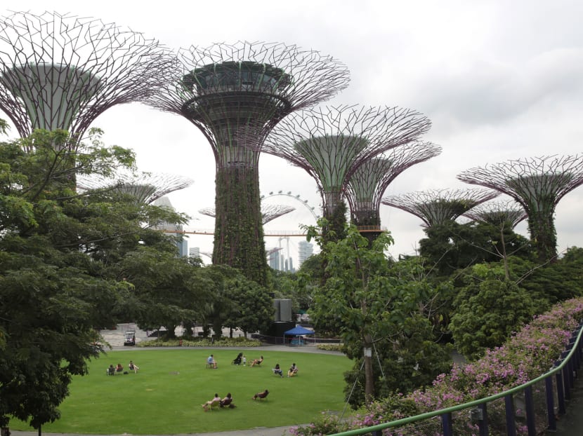 Singapore aims to peak greenhouse gas emissions by 2030, and expects the volume of such emissions equivalent to carbon dioxide it produces a year to peak at 65 million metric tonnes around that time. Singapore aims to peak greenhouse gas emissions by 2030, and expects the volume of such emissions equivalent to carbon dioxide it produces a year to peak at 65 million metric tonnes around that time.