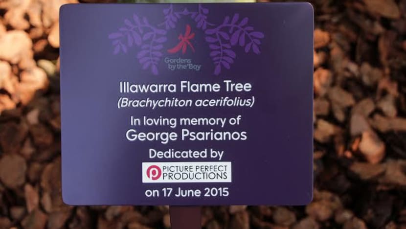 Australian is first person to adopt a tree at Gardens by the Bay