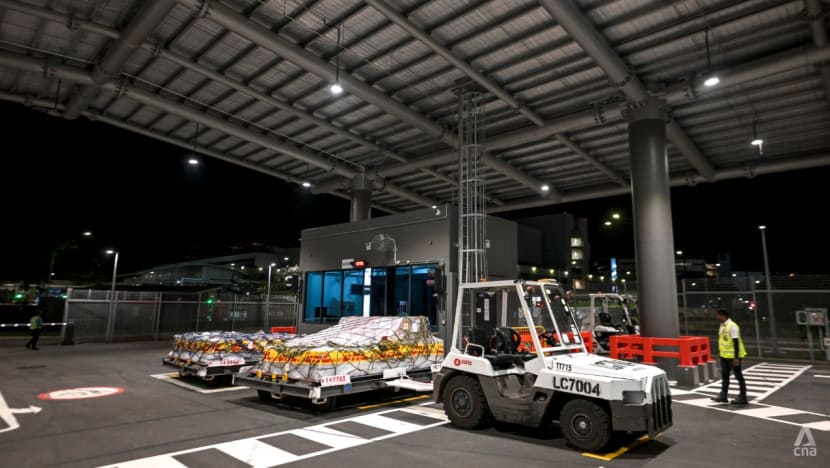 SATS opens new air cargo hub at Changi Airport as testbed for T5 operations SATS opens new air cargo hub at Changi Airport as testbed for T5 operations