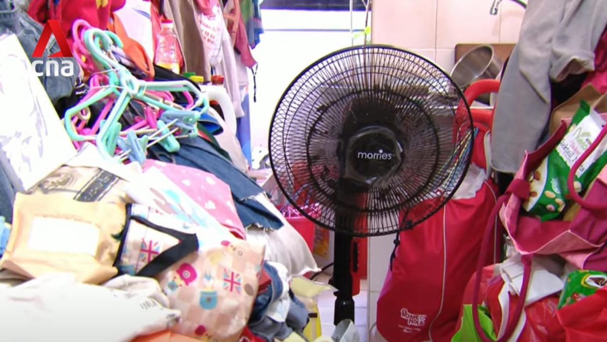 Singapore Launches NEAT to Combat Hoarding Crisis