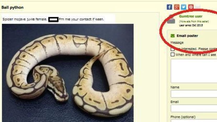 Illegal pet advertisements rife on online platforms: ACRES