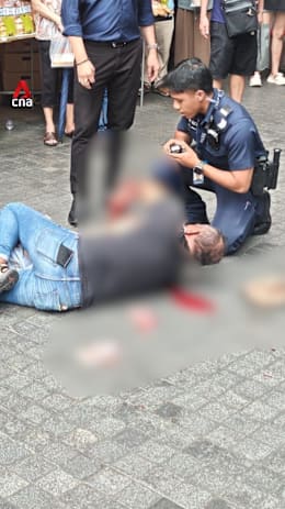 Member of public disarms man with knife in Clementi