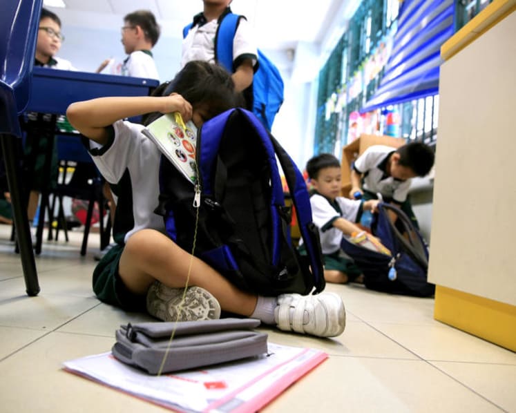 Greater financial support for needy students: Ng Chee Meng