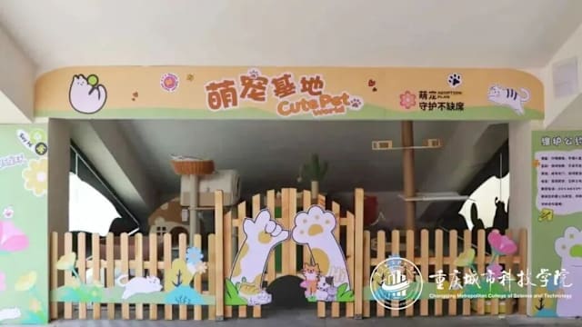 宠物也能带进校园？中国多所高校新措施引热议