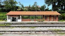 Related article image