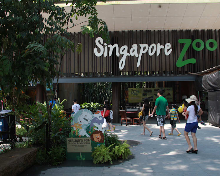 Singapore Zoo voted best in Asia in TripAdvisor poll