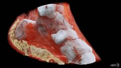 Related article image