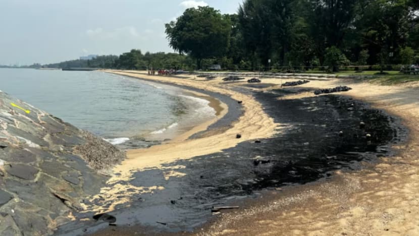 Kerja pembersihan di Sentosa, Taman East Coast diteruskan