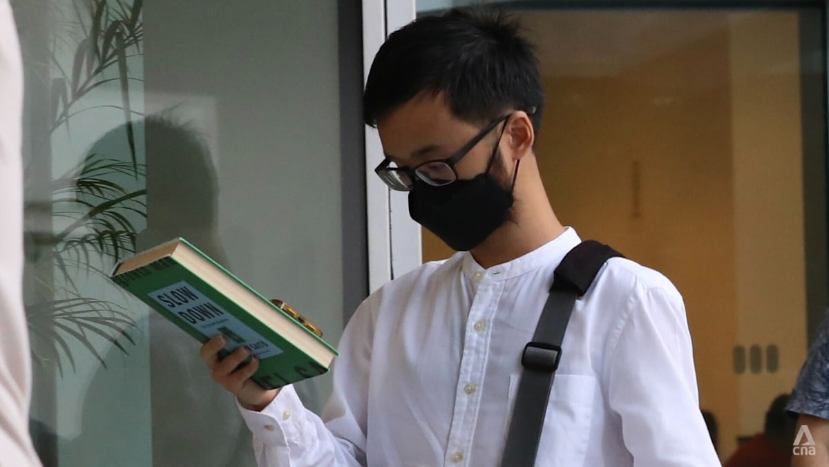 NUS student fined for putting green beans into car tyre valves to deflate them