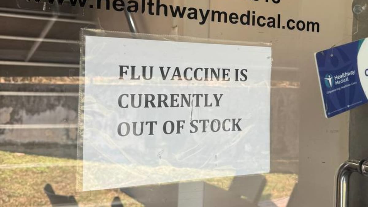 Northern Hemisphere flu vaccines in Singapore delayed by about 2 weeks to early October