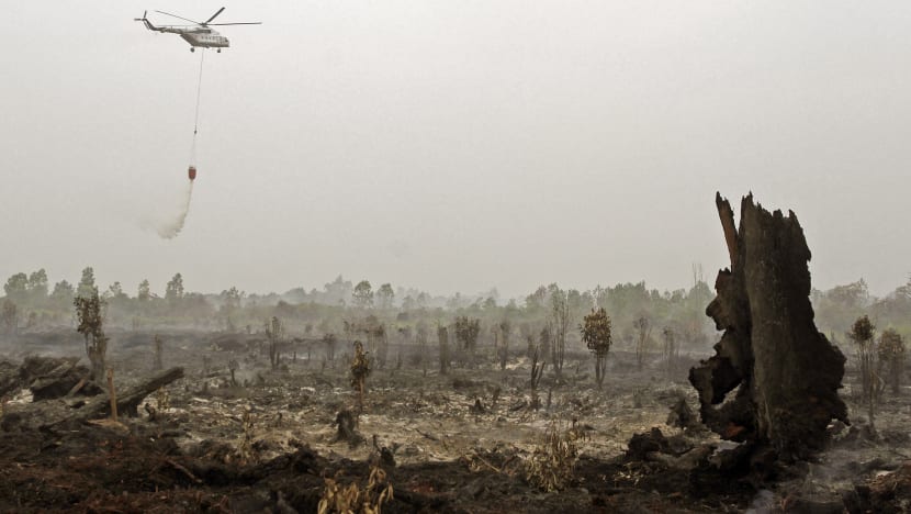 Haze could hit S’pore over next few days, Indonesia warns