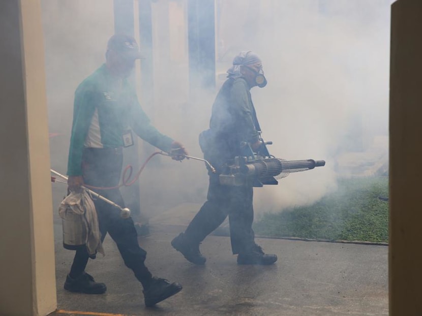Dengue fight: When is too much fogging unsafe?