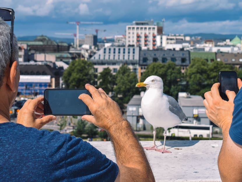 Why travellers cannot resist taking photos and sharing them on social media instantly