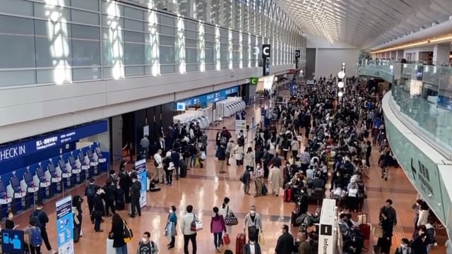 全日空系统大故障 旅客无法登机滞机场