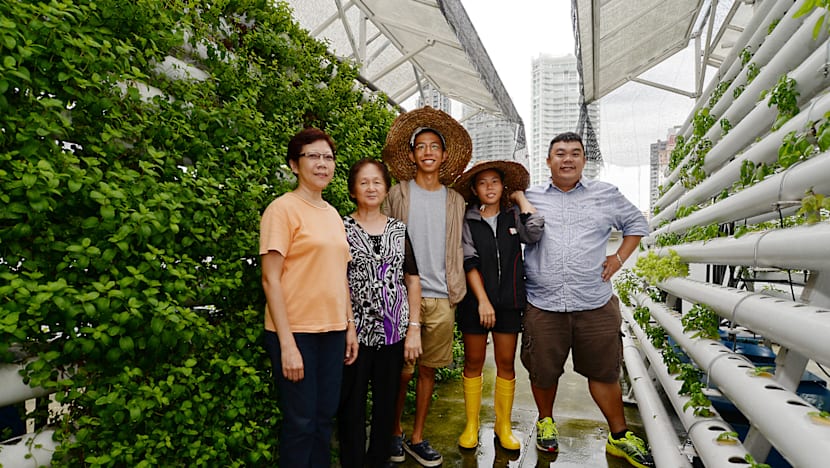 Farming, one rooftop at a time